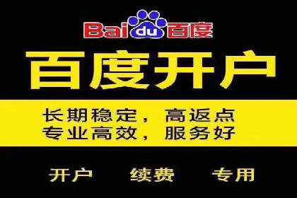 Sem优化公司案例：助力企业实现品牌曝光